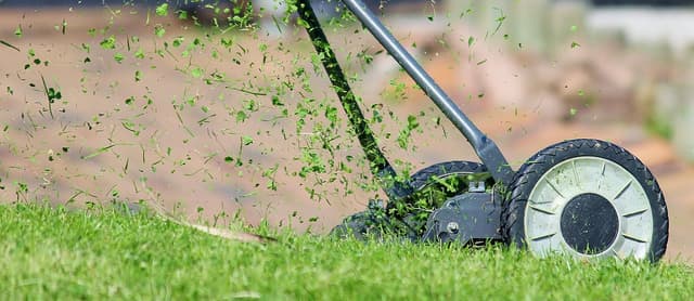 LAWN MOWING