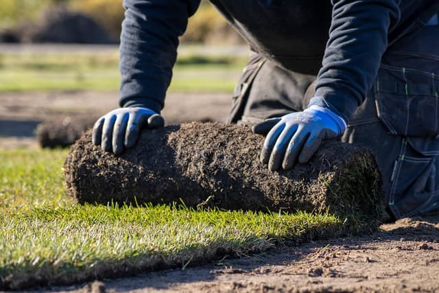 GRASS ROLLS