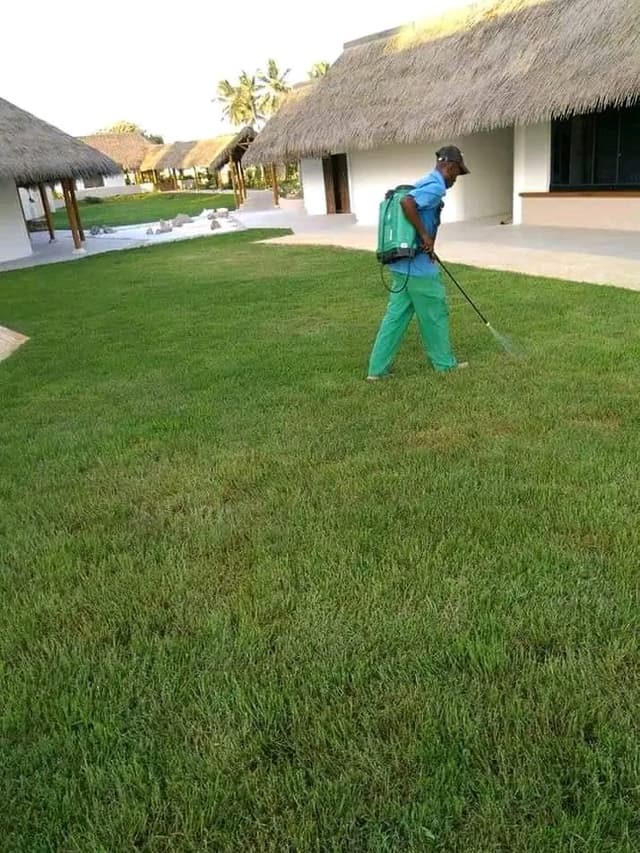 LAWN TREATMENT.